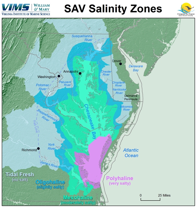 SAV Salinity Zones