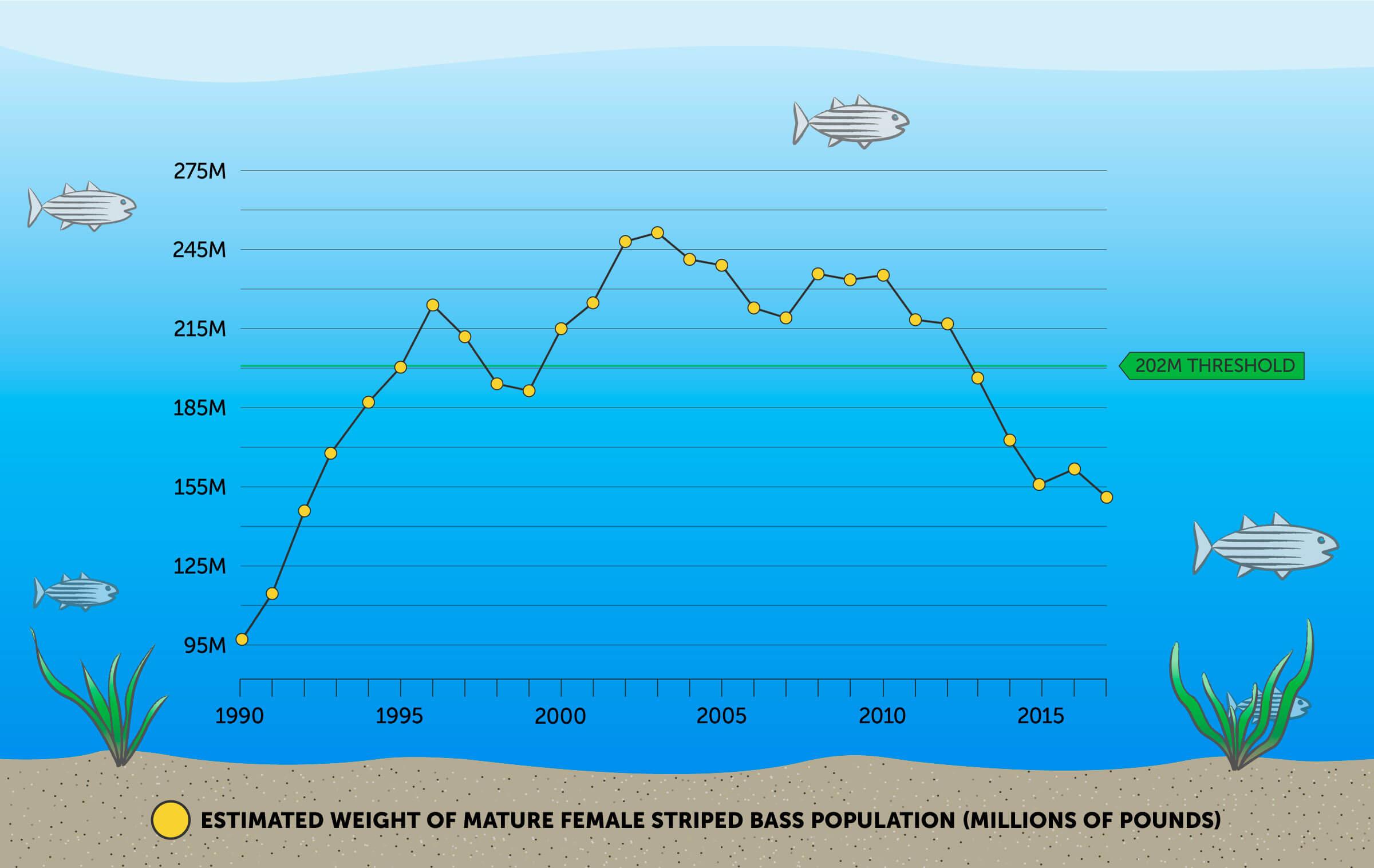 Line graph illustrating the estimated weight of the mature female striped bass population from 1990 to 2018.